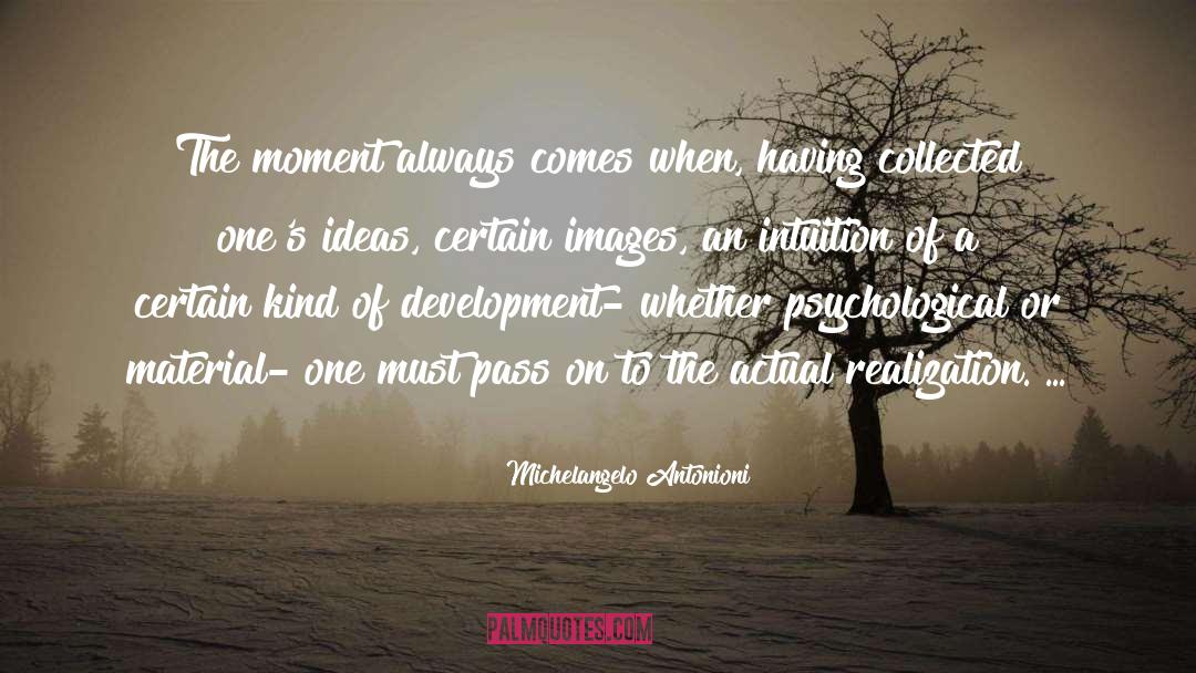 Stages Of Development quotes by Michelangelo Antonioni