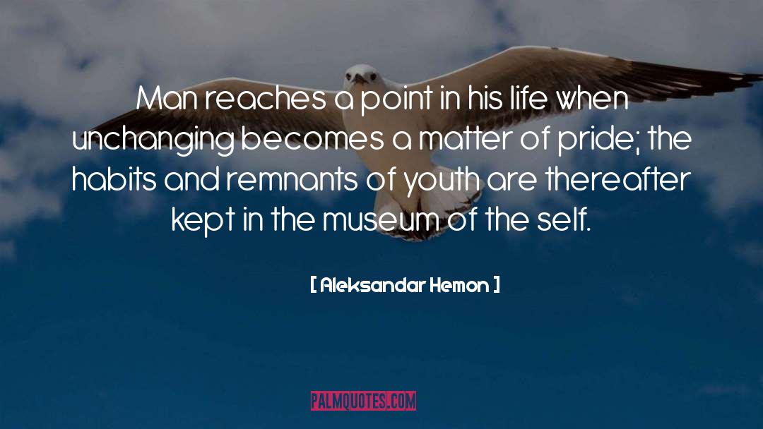 Stages Of Life quotes by Aleksandar Hemon