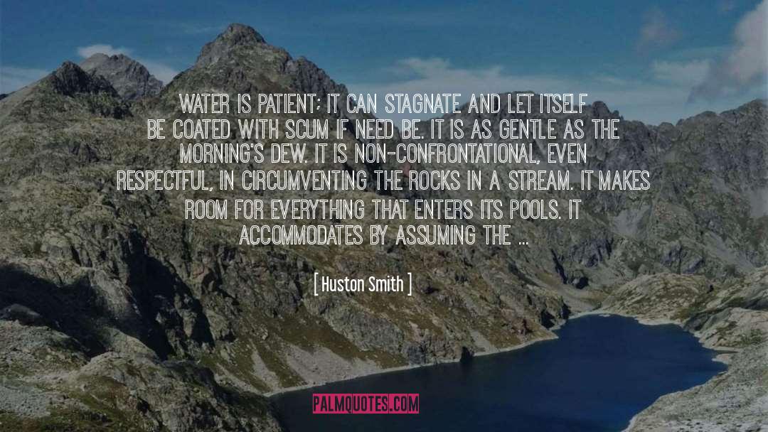Stagnate quotes by Huston Smith