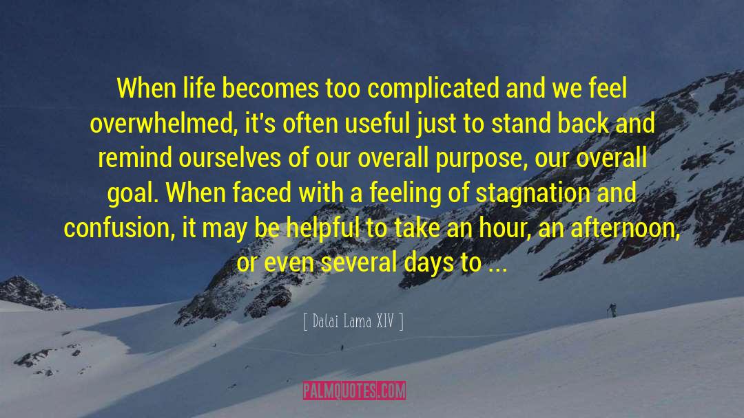 Stagnation Is Lethal quotes by Dalai Lama XIV