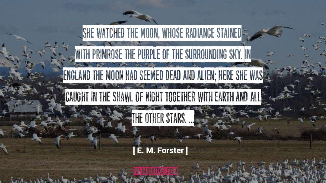 Stained quotes by E. M. Forster