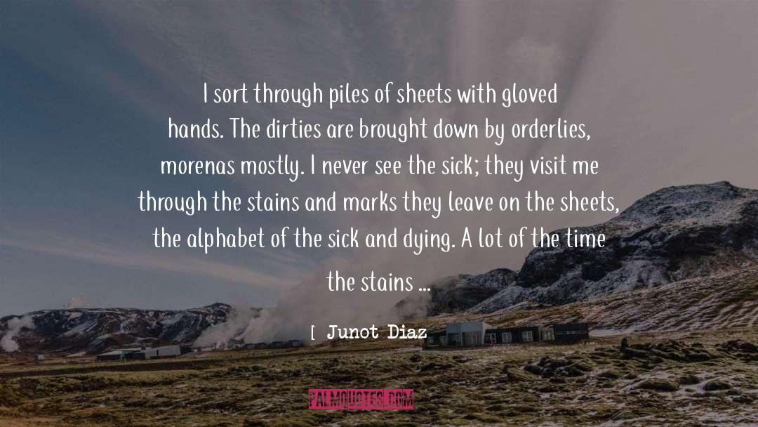 Stains quotes by Junot Diaz