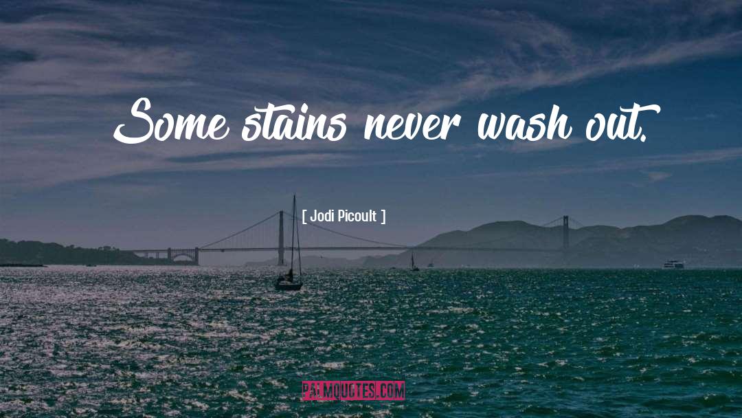 Stains quotes by Jodi Picoult