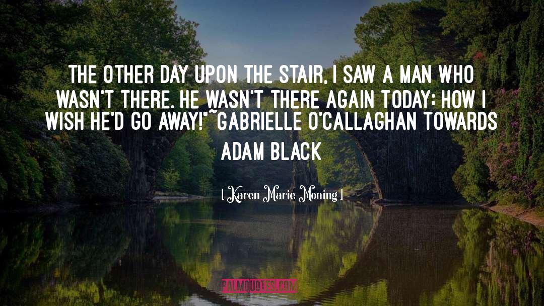 Stair quotes by Karen Marie Moning