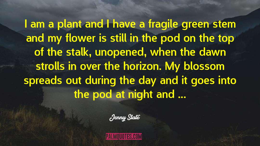 Stalk quotes by Jenny Slate