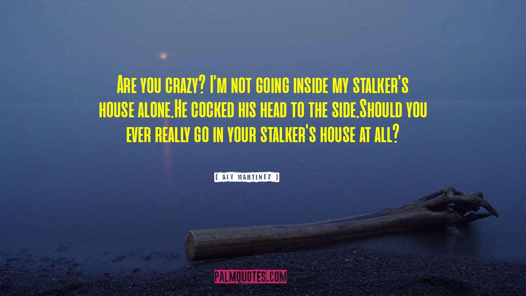 Stalkers quotes by Aly Martinez