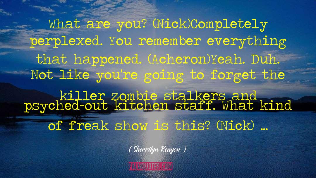 Stalkers quotes by Sherrilyn Kenyon