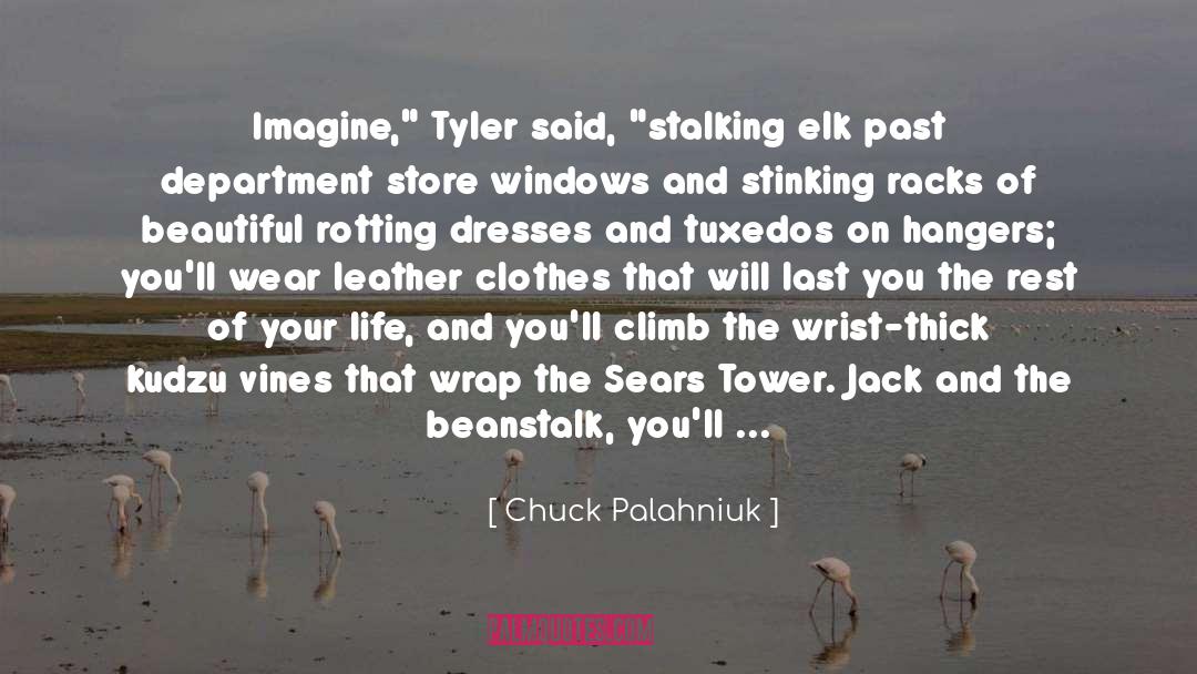 Stalking quotes by Chuck Palahniuk
