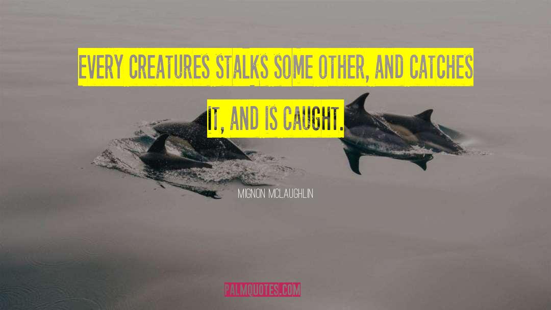 Stalking quotes by Mignon McLaughlin