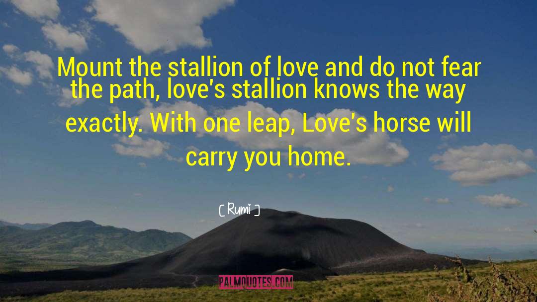 Stallions quotes by Rumi