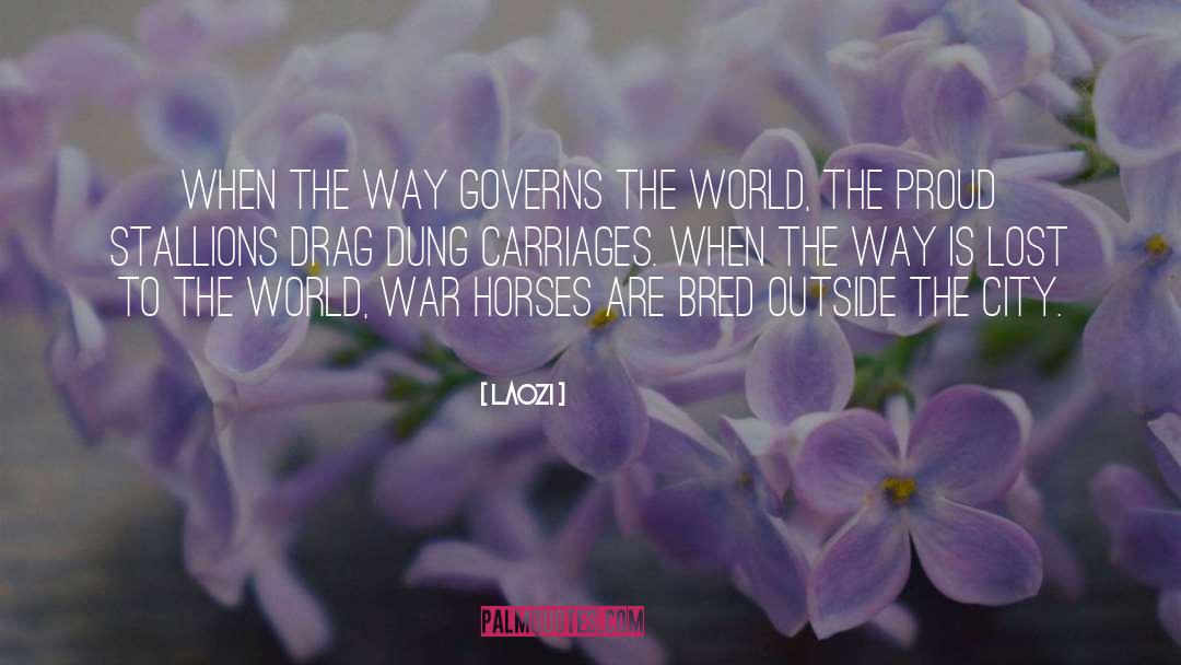 Stallions quotes by Laozi