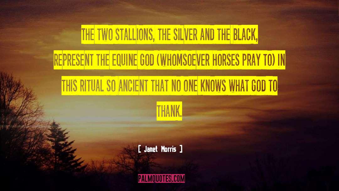 Stallions quotes by Janet Morris