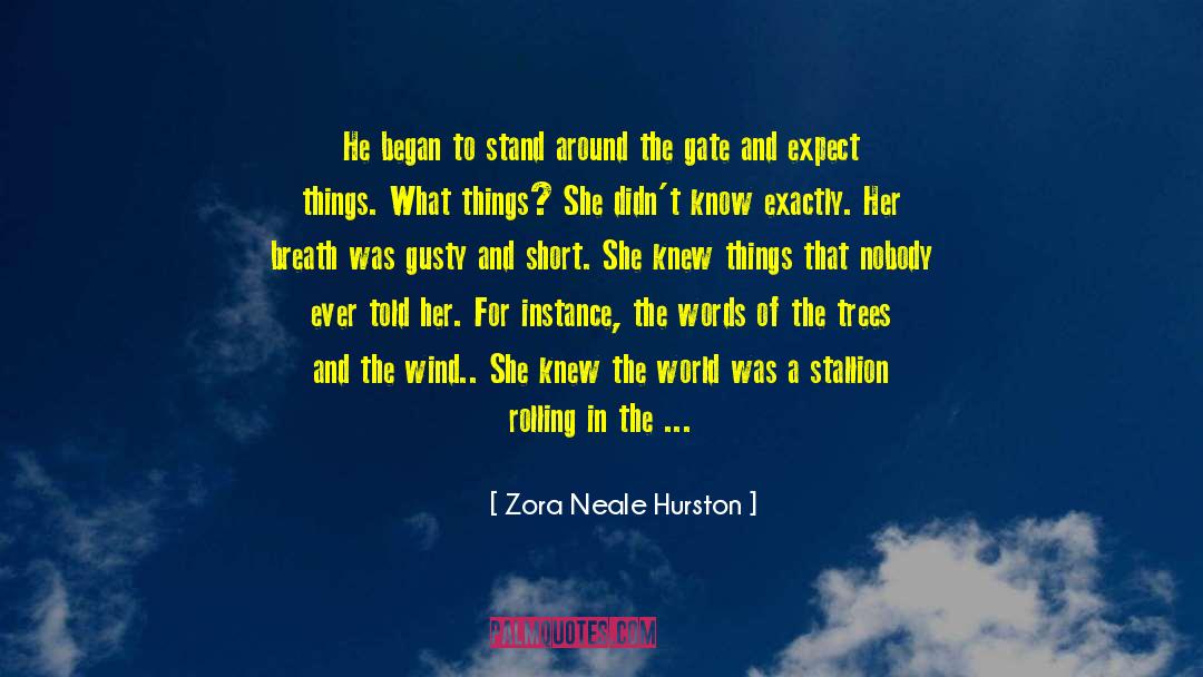 Stallions quotes by Zora Neale Hurston
