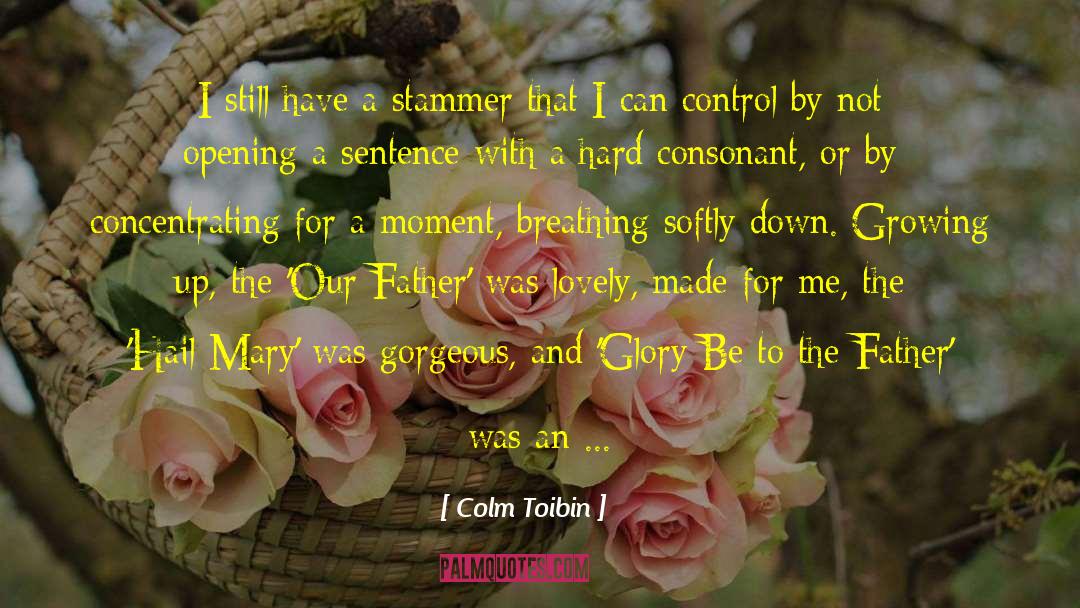 Stammer quotes by Colm Toibin