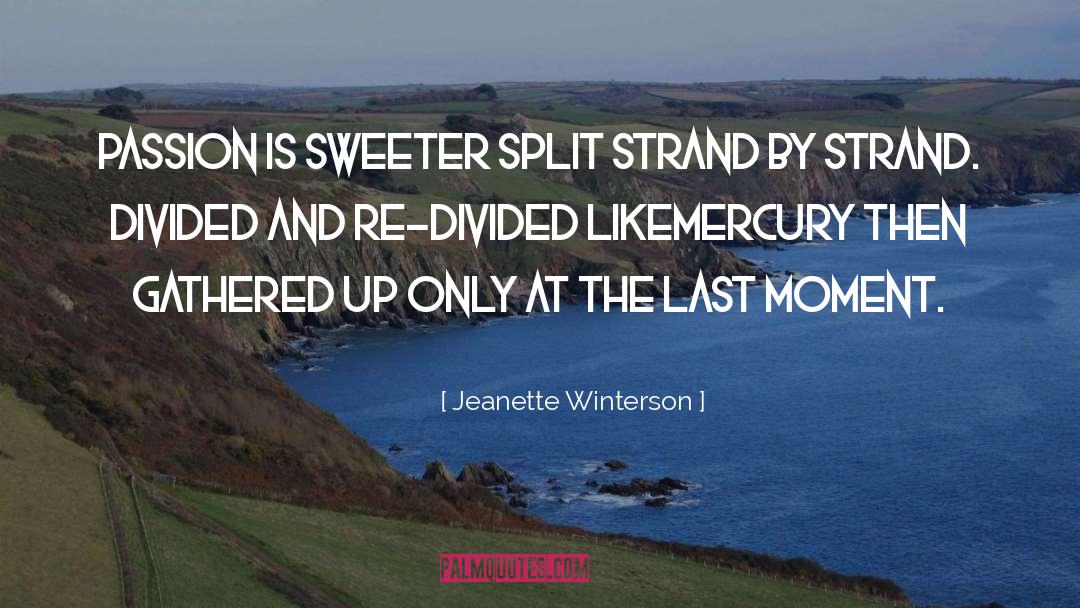 Stammering quotes by Jeanette Winterson