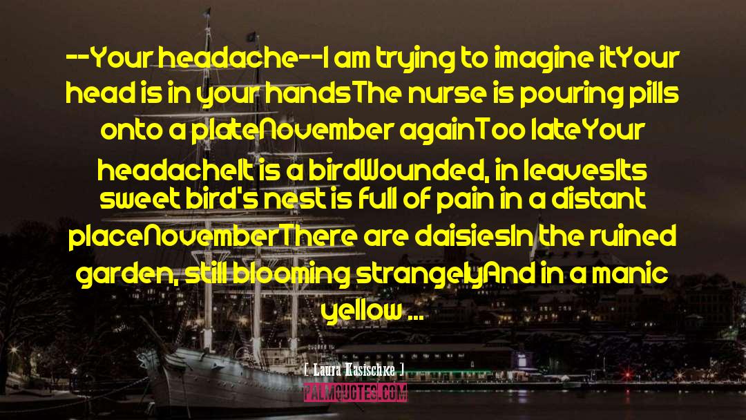 Stanback Headache quotes by Laura Kasischke