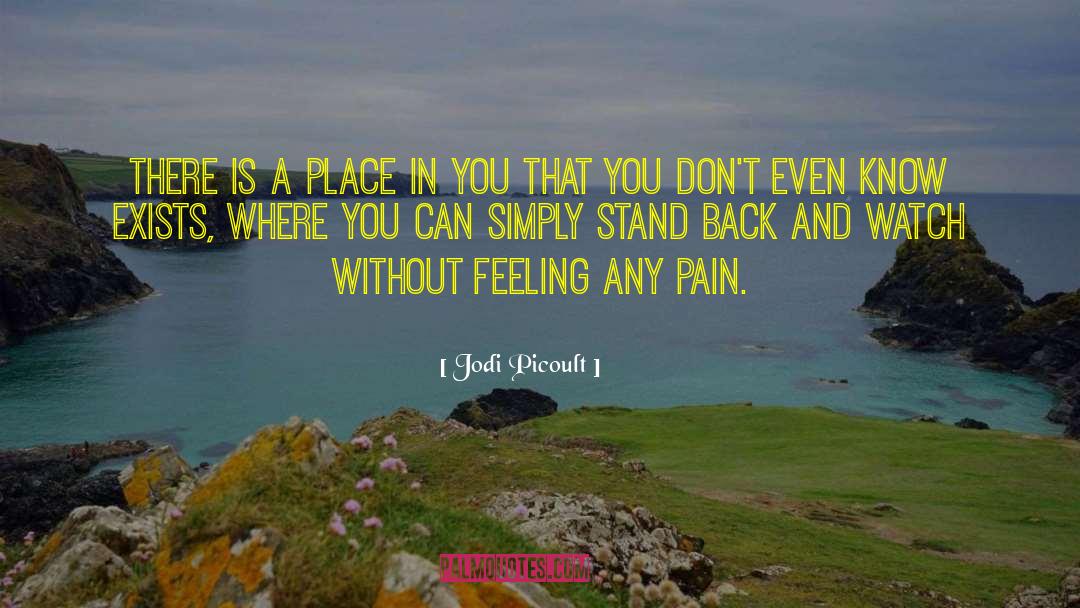 Stand Back quotes by Jodi Picoult