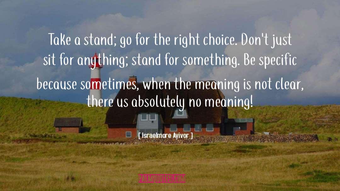 Stand For Something quotes by Israelmore Ayivor