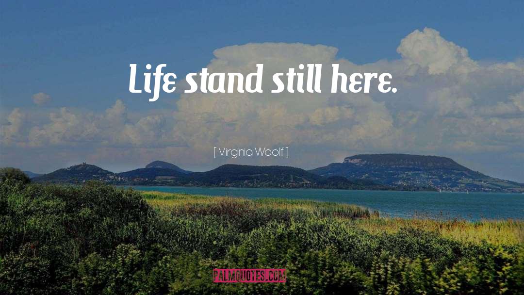 Stand Still quotes by Virginia Woolf