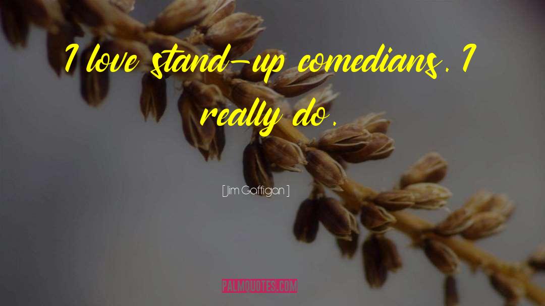 Stand Up Comedian quotes by Jim Gaffigan