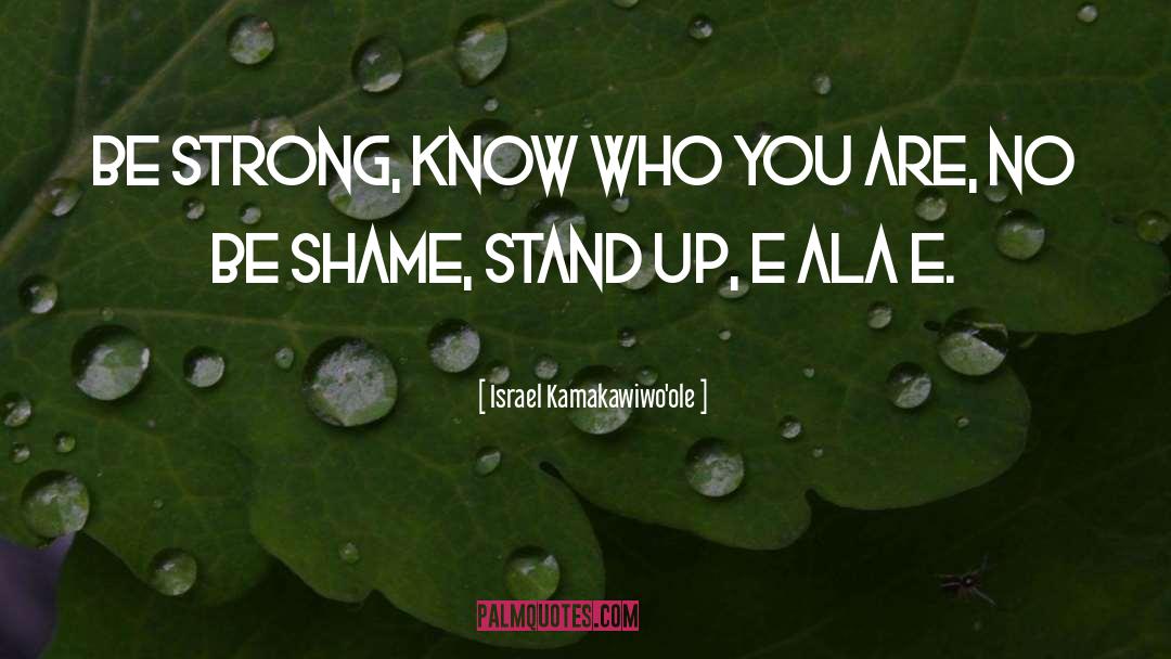 Stand Up Comedy quotes by Israel Kamakawiwo'ole