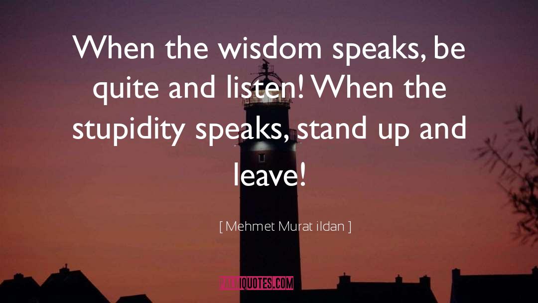 Stand Up quotes by Mehmet Murat Ildan