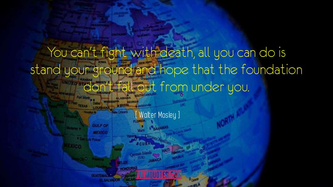 Stand Your Ground quotes by Walter Mosley