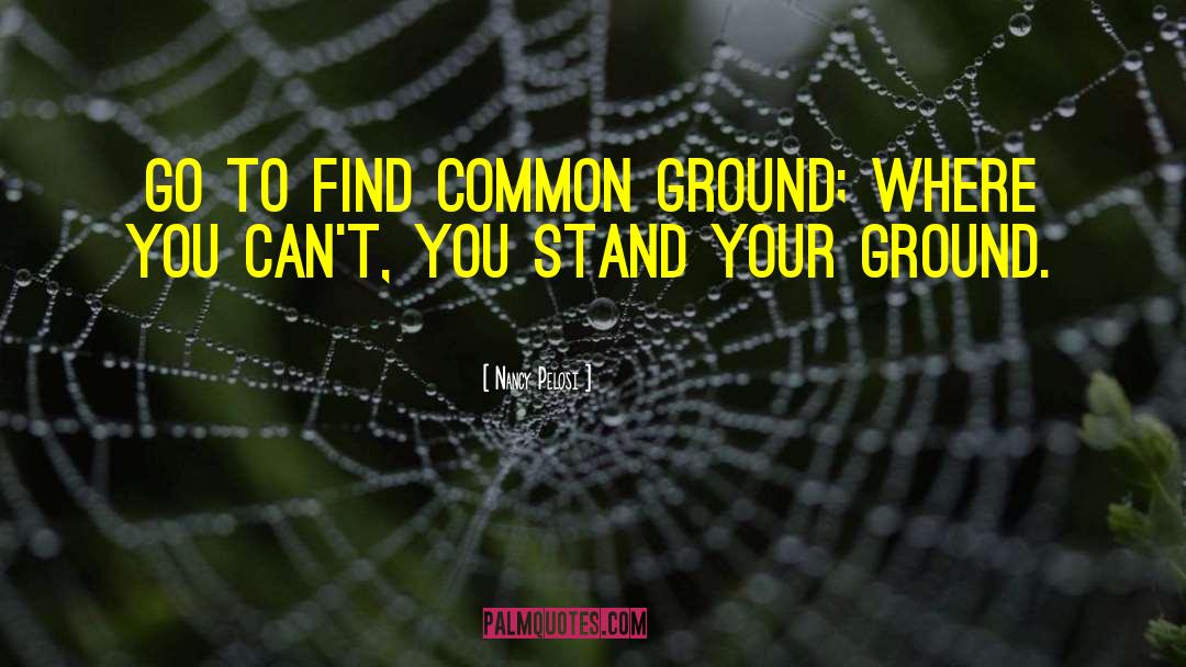 Stand Your Ground quotes by Nancy Pelosi