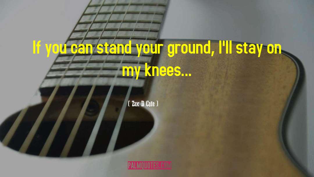 Stand Your Ground quotes by Zak D Cole