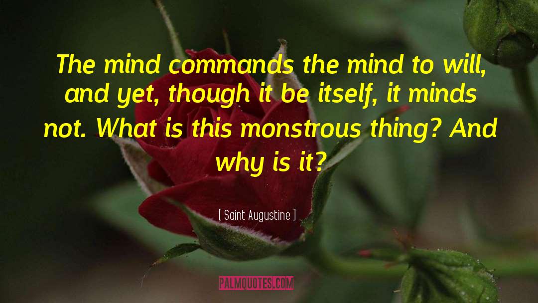 Standardized Minds quotes by Saint Augustine