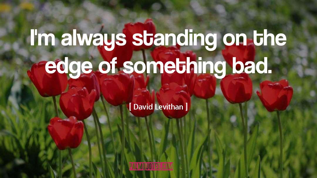 Standing On The Edge quotes by David Levithan