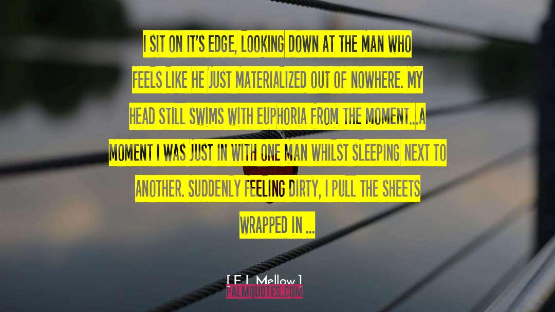 Standing On The Edge quotes by E.J. Mellow