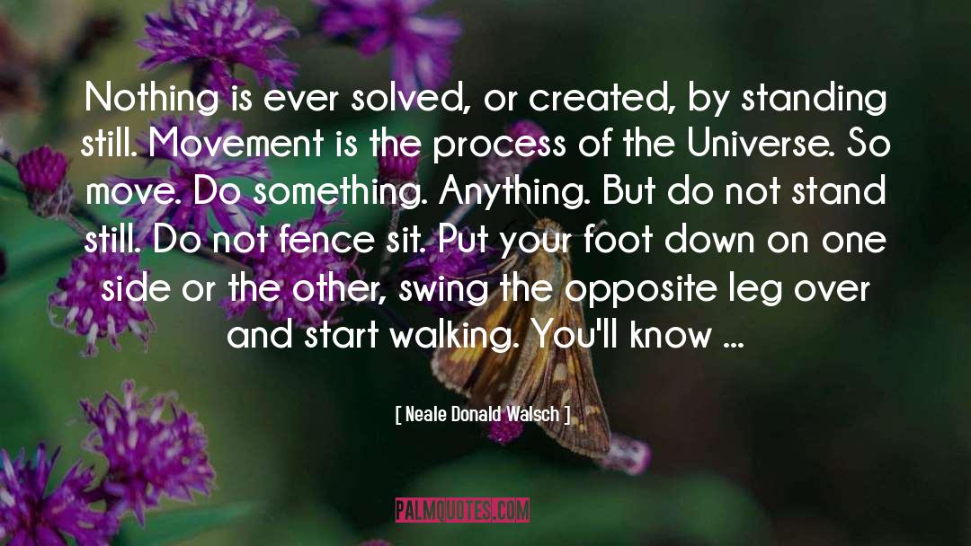 Standing Still quotes by Neale Donald Walsch