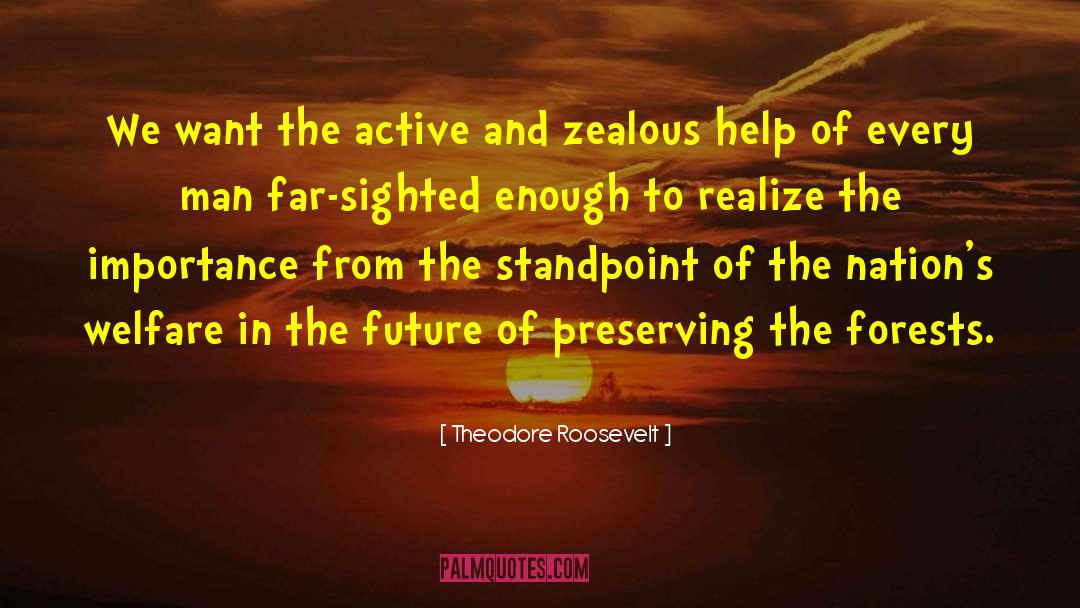 Standpoint quotes by Theodore Roosevelt