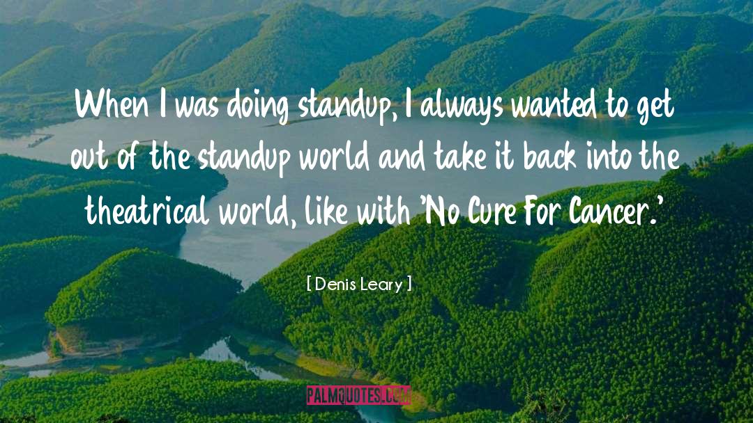 Standup quotes by Denis Leary