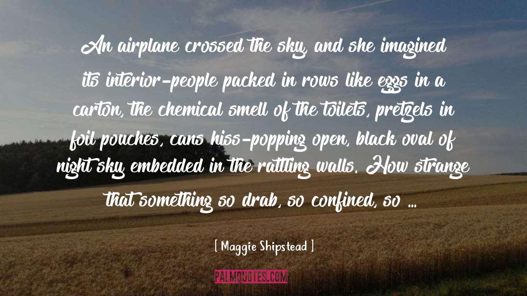 Star Crossed Lovers quotes by Maggie Shipstead