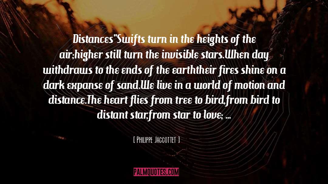 Star In The Sky quotes by Philippe Jaccottet