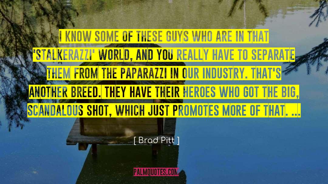 Starchy Heroes quotes by Brad Pitt