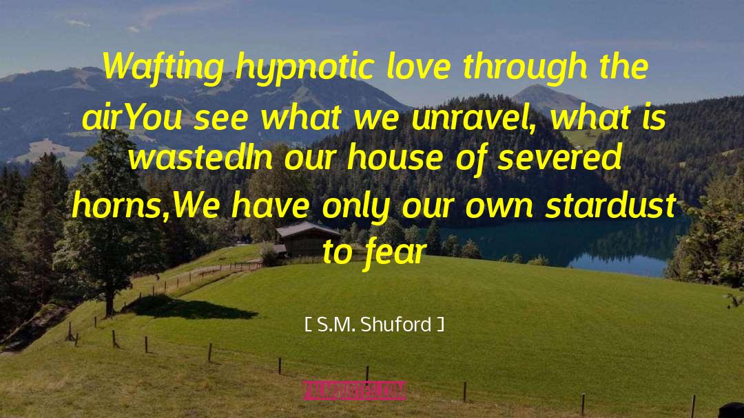 Stardust quotes by S.M. Shuford