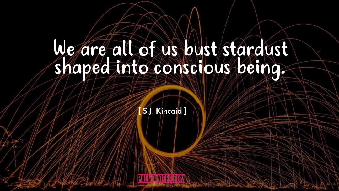 Stardust quotes by S.J. Kincaid