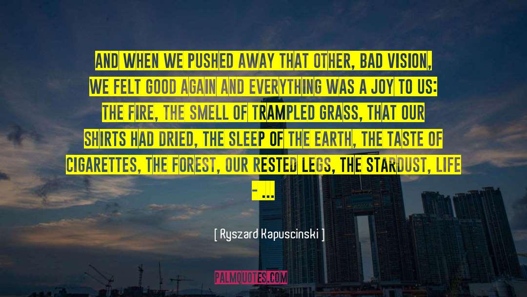 Stardust quotes by Ryszard Kapuscinski