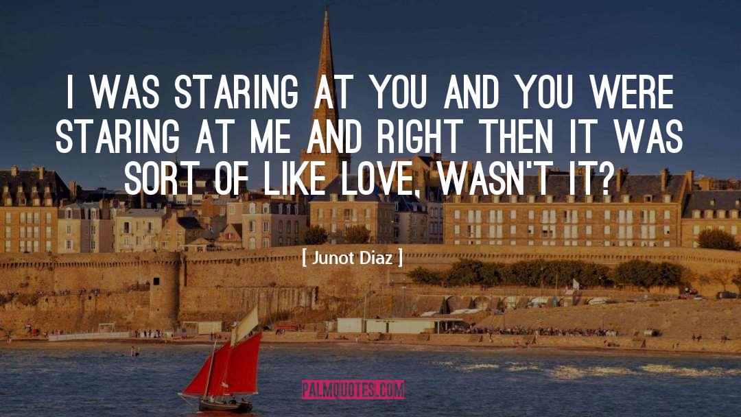Staring At You quotes by Junot Diaz