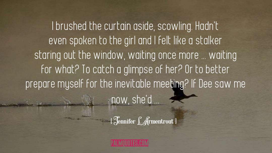 Staring Out The Window quotes by Jennifer L. Armentrout