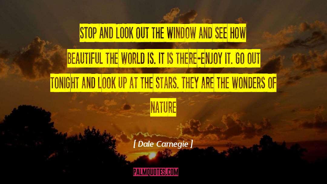 Staring Out The Window quotes by Dale Carnegie