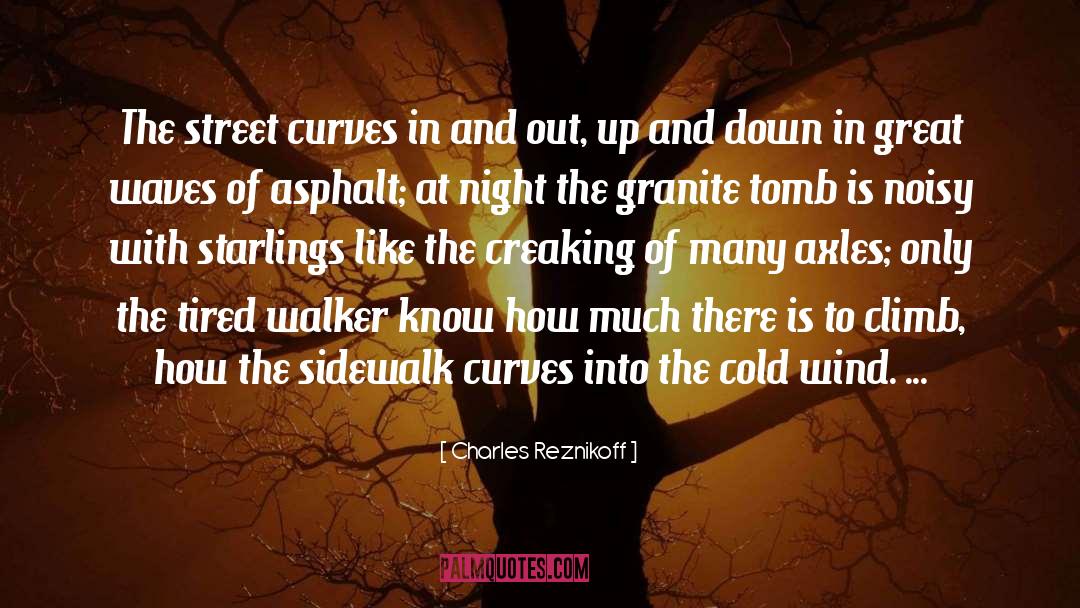 Starlings quotes by Charles Reznikoff