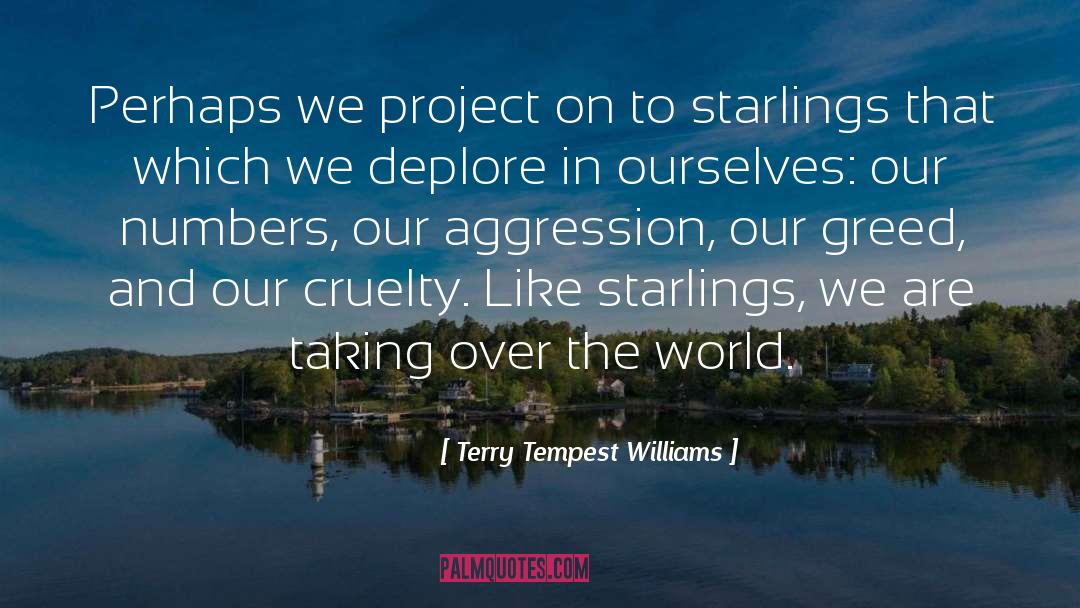 Starlings quotes by Terry Tempest Williams