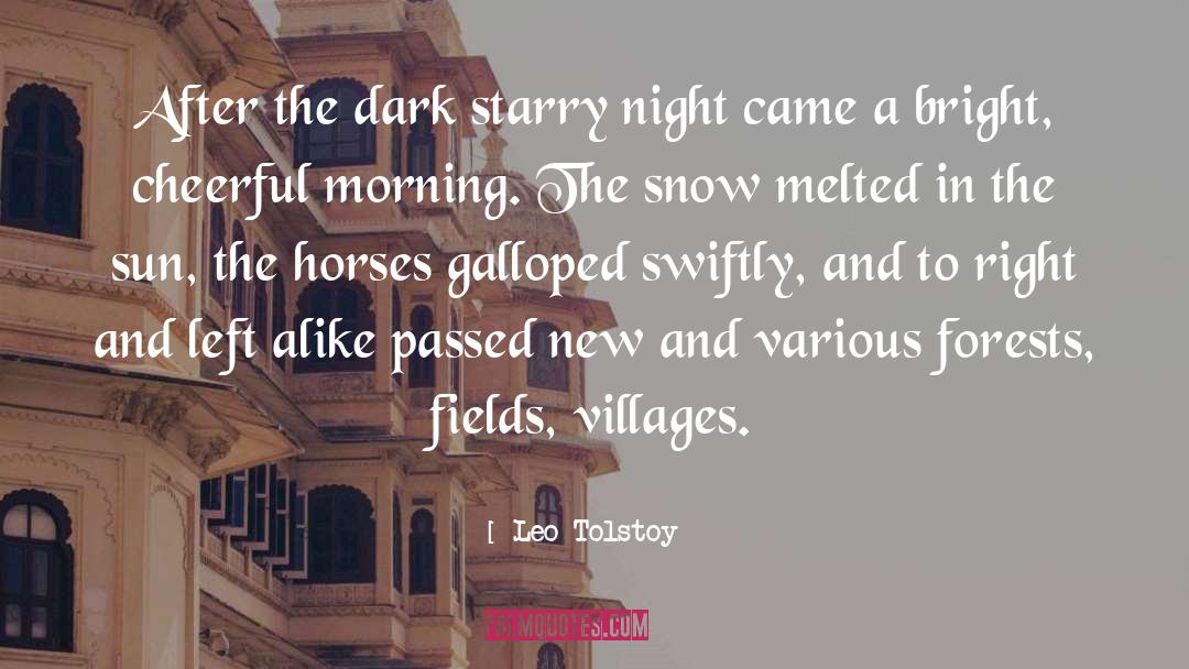 Starry Night quotes by Leo Tolstoy