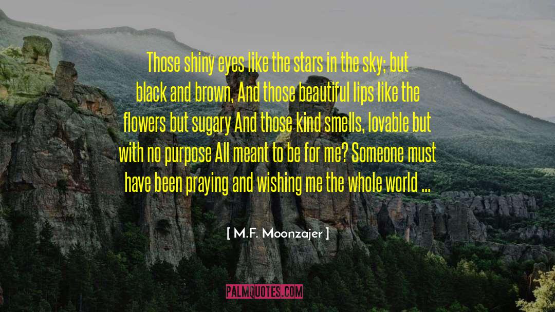 Stars In The Sky quotes by M.F. Moonzajer