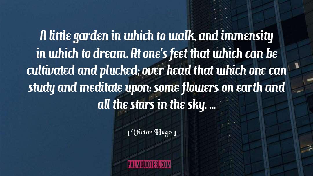 Stars In The Sky quotes by Victor Hugo