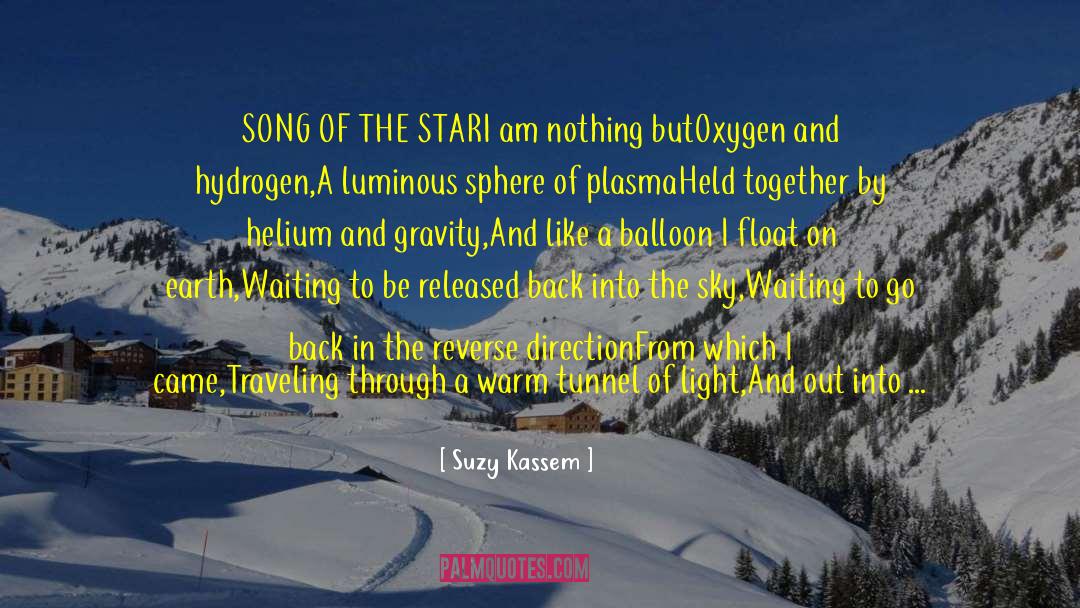 Stars Shine Darkly quotes by Suzy Kassem